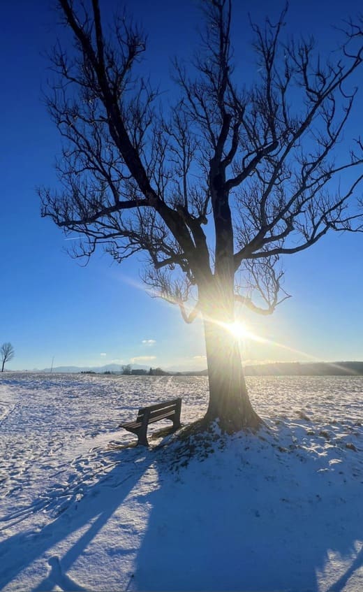 Adventsspirale für Frauen